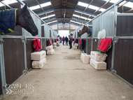 FB161021-122 - Fergal O'Brien Stable Visit